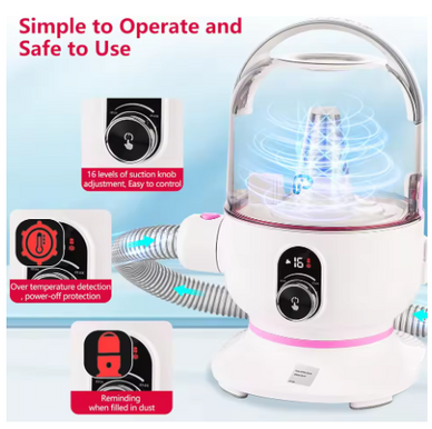 Transform Shedding Chaos into a Serene Home